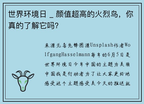 世界环境日 _ 颜值超高的火烈鸟，你真的了解它吗？