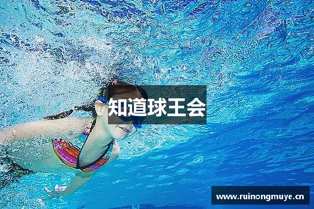 知道球王会