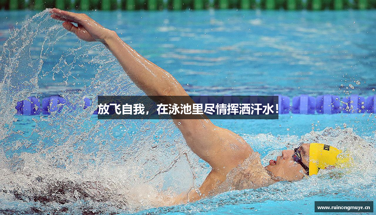 球王会app官网放飞自我，在泳池里尽情挥洒汗水！